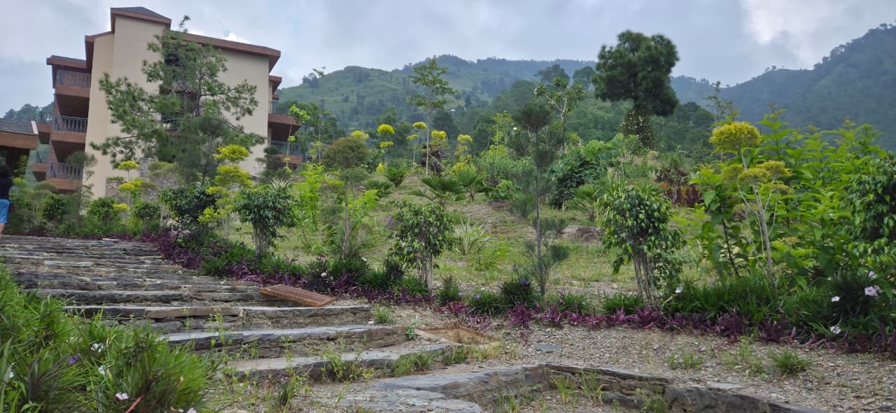 Newly planted landscaping beside stone steps, apartment block behind — Himachal Pradesh
