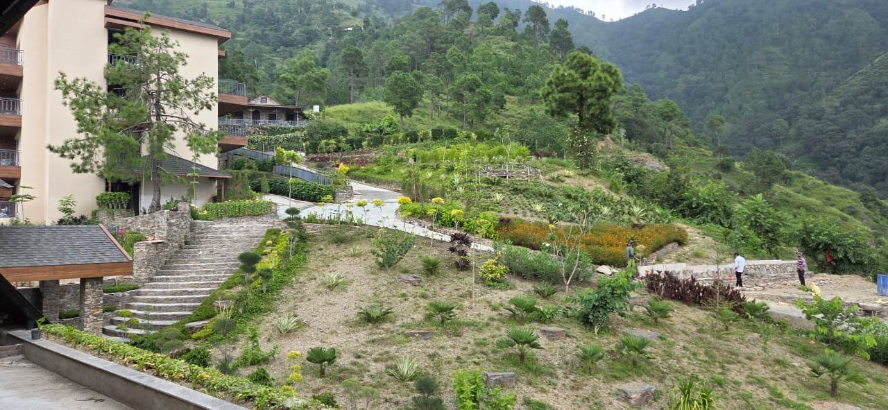 Planted terraces and stone steps on the slope below an apartment block — Himachal Pradesh