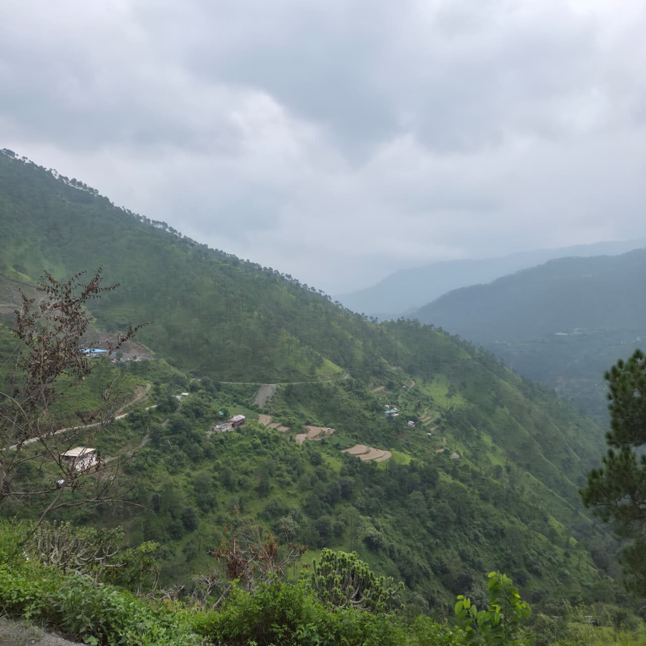 A winding hill road and terraced fields under heavy cloud — Himachal Pradesh